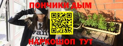 индика Краснознаменск