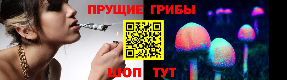 Псилоцибиновые грибы прущие грибы Юрга